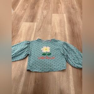 Mini boden Girls Floral Embroidered Balloon Sleeve Cotton Top